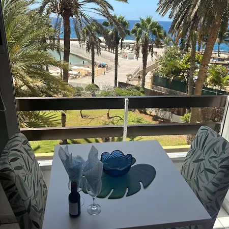 With Ocean View Apartment Arguineguin